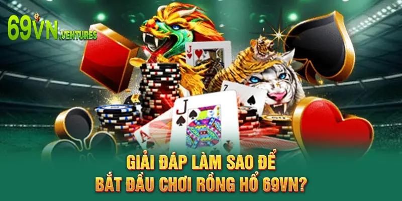 Giải đáp làm sao để bắt đầu chơi Rồng Hổ 69VN?
