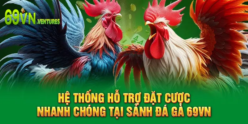 Hệ thống hỗ trợ đặt cược nhanh chóng tại sảnh đá gà 69VN