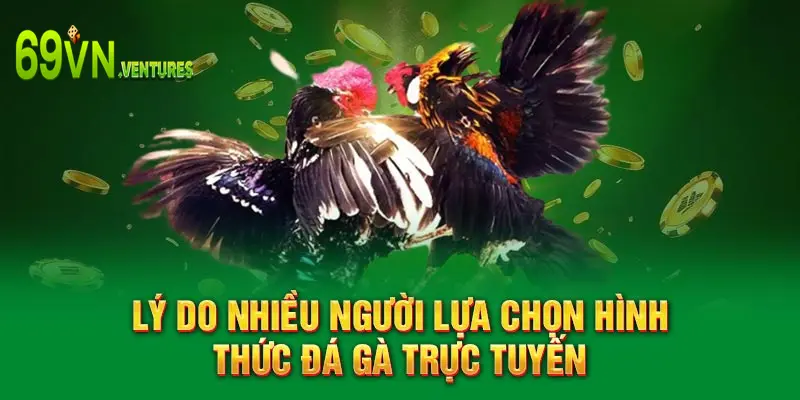 Lý do nhiều người lựa chọn hình thức đá gà trực tuyến