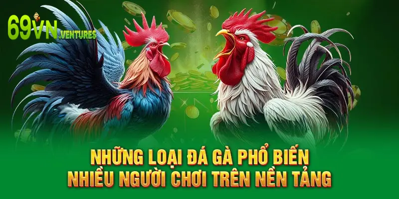 Những loại đá gà phổ biến nhiều người chơi trên nền tảng